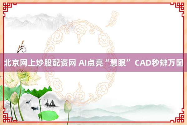 北京网上炒股配资网 AI点亮“慧眼” CAD秒辨万图